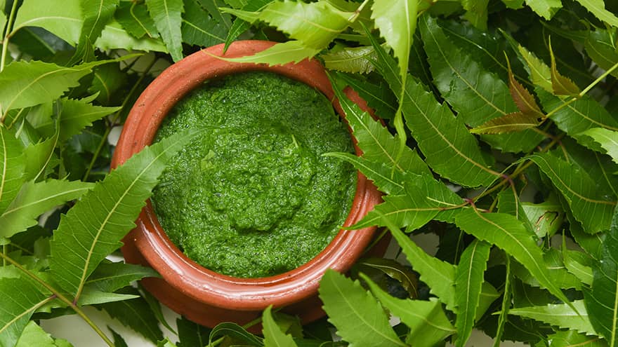 by-cosmetics