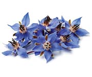 by-cosmetics Borage