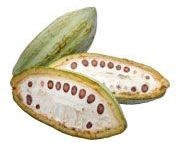 by-cosmetics Cacao