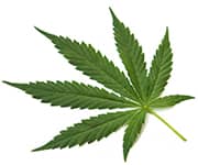 by-cosmetics Hemp