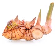 by-cosmetics Galangal