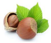 by-cosmetics hazelnut oil