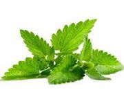 by-cosmetics Mentha