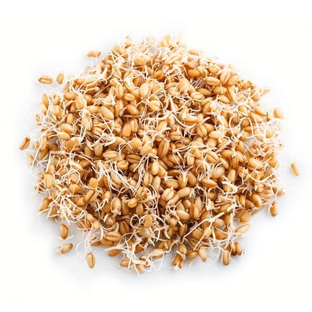 wheat_germ4